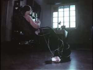 36 Chowringhee Lane (1981) 4 36chowringeelane7